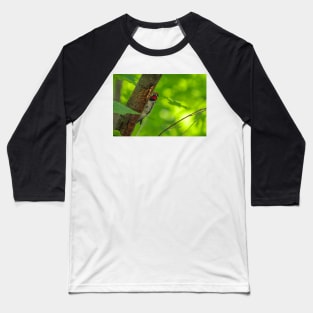 Yellow-bellied Sapsucker Baseball T-Shirt